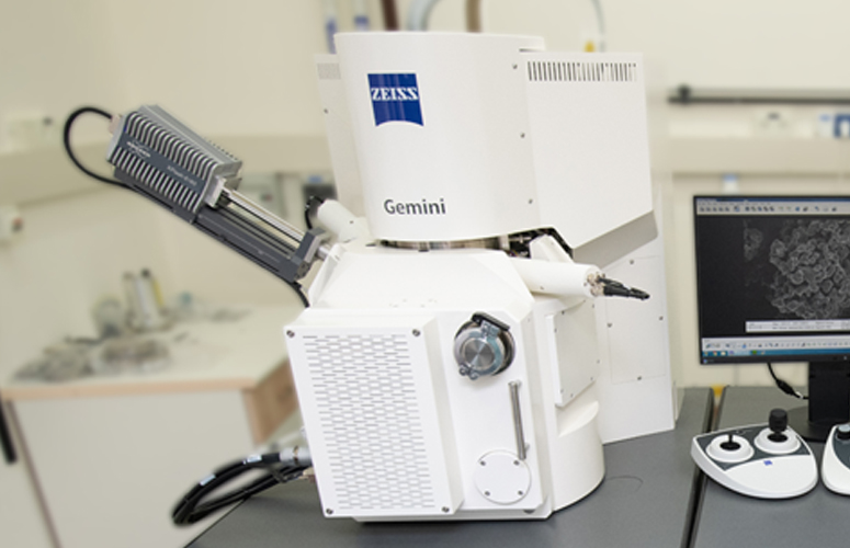Sigma 500 SEM (Zeiss) Chemical Research Support